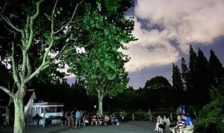 杨浦区地图 杨浦区地图